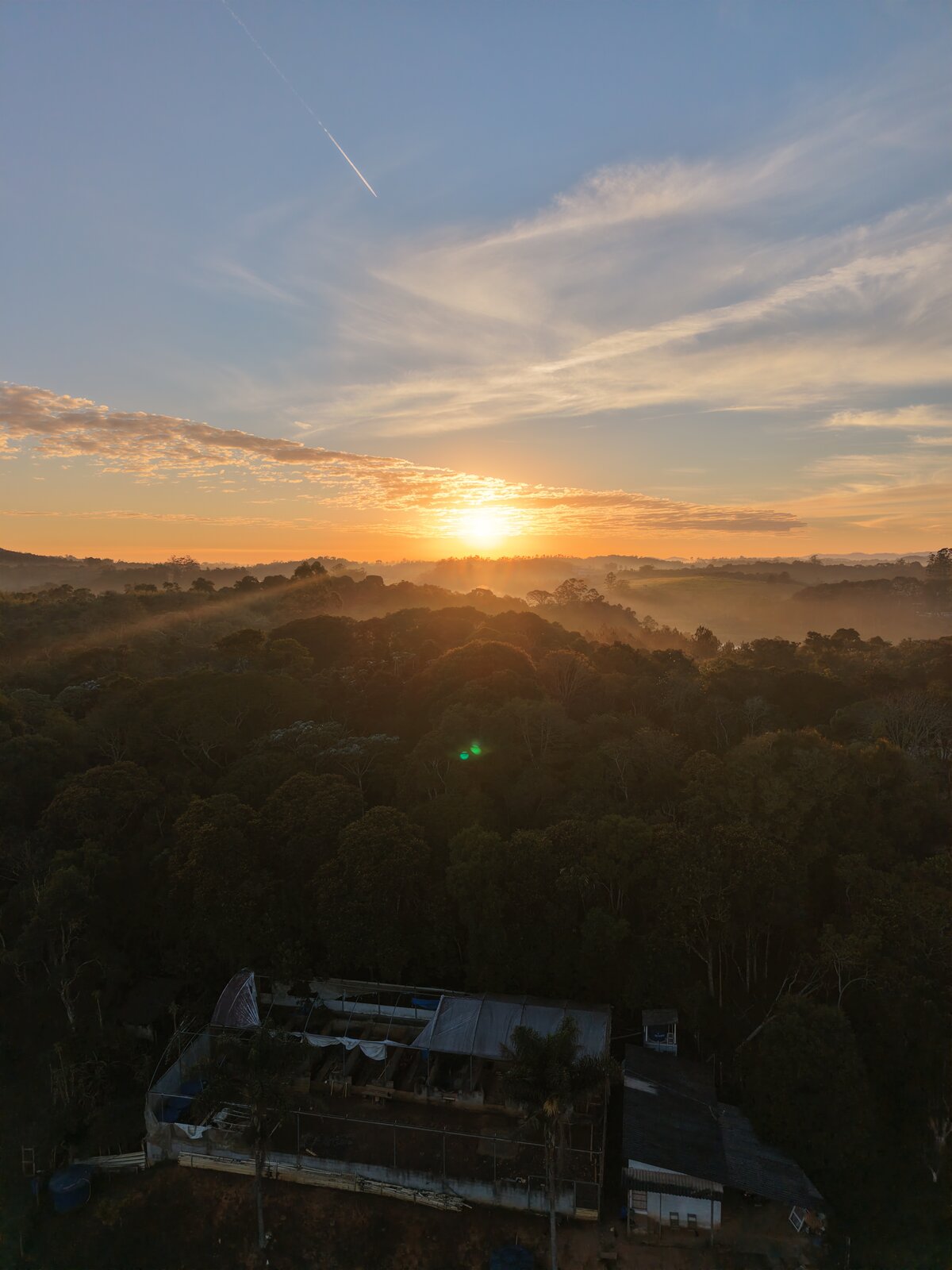 Nascer do sol sobre a mata — vista aérea